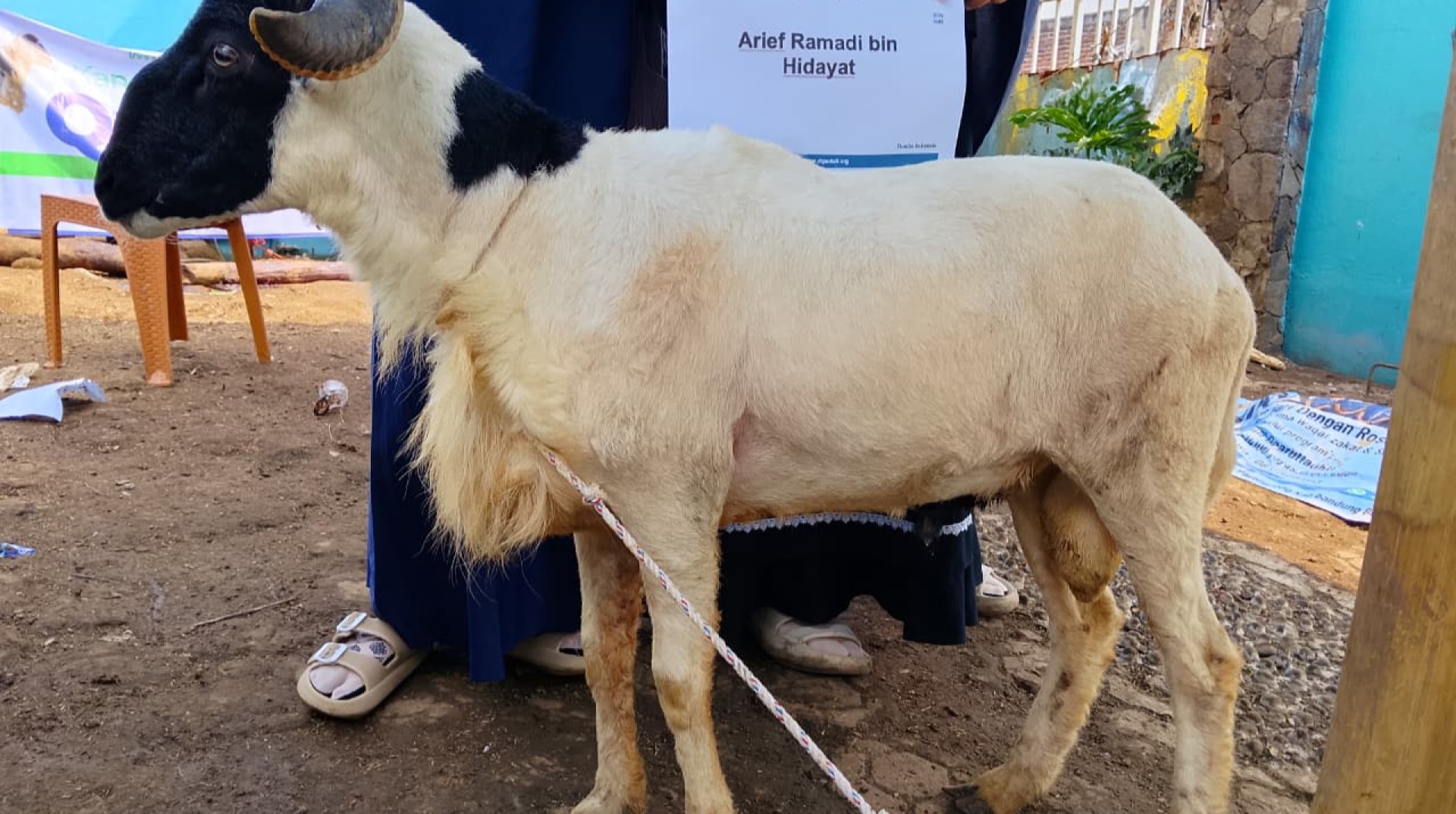BSI Cabang Bandung Sinergi dengan DT Peduli Bandung Salurkan Hewan Qurban ke Rumah Peduli Yatim 