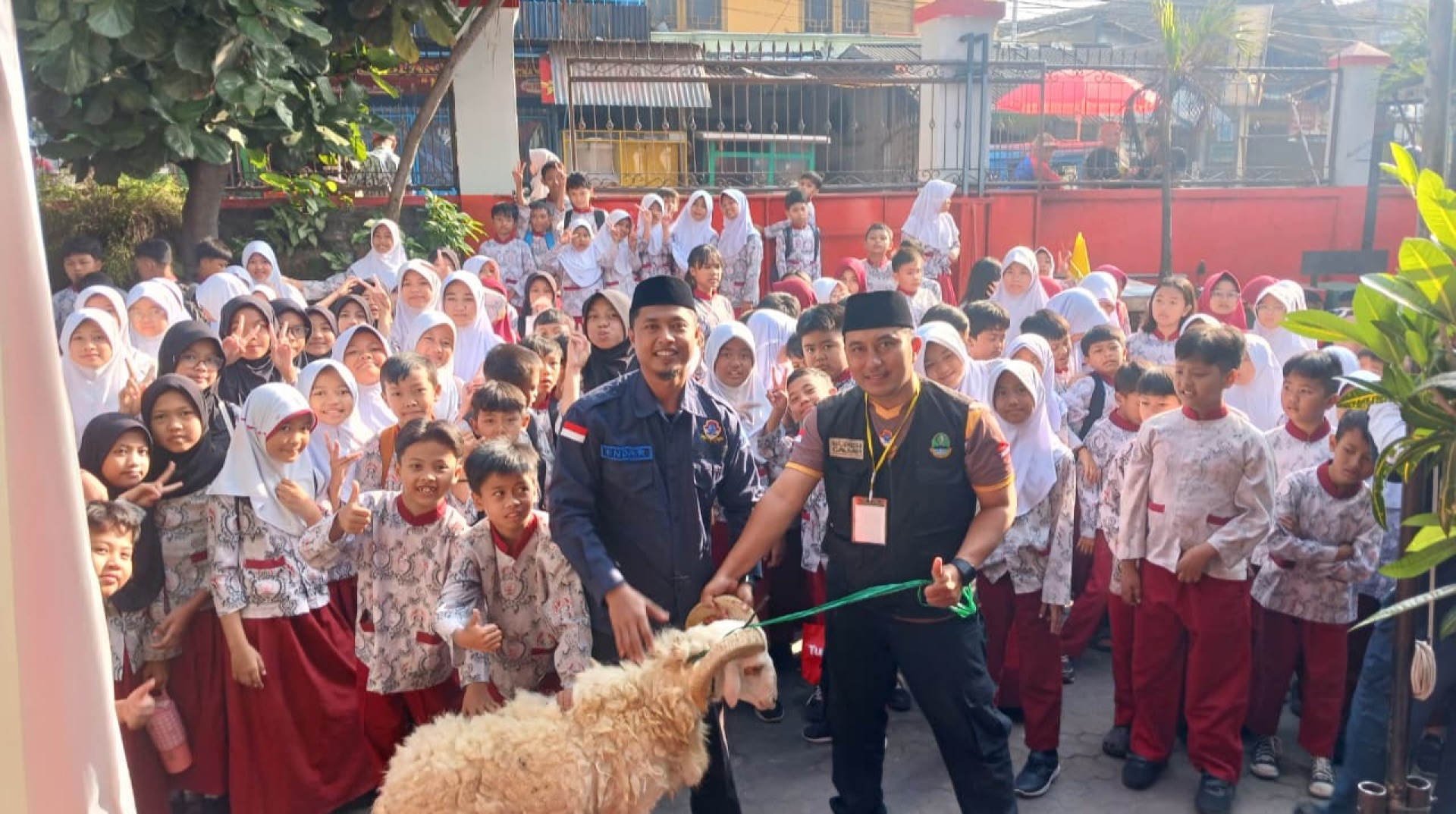 DT Peduli Bandung Bersama SDN 018 Sukagalih Gelar Edukasi Qurban untuk Siswa