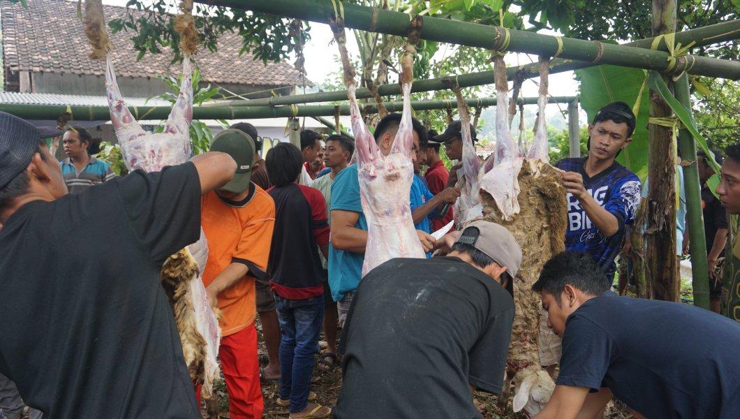 DT Peduli Jatim Gelar Qurban Festival di Desa Ngembat, Ratusan Warga Bergembira 