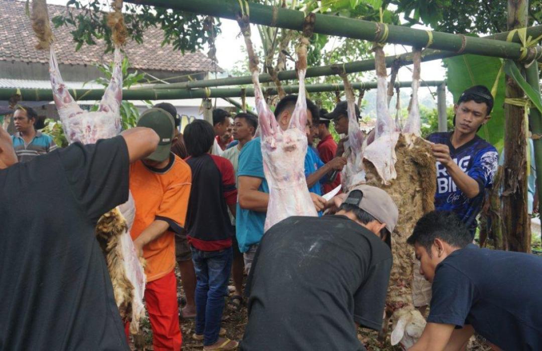 DT Peduli Jatim Gelar Qurban Festival di Desa Ngembat, Ratusan Warga Bergembira 