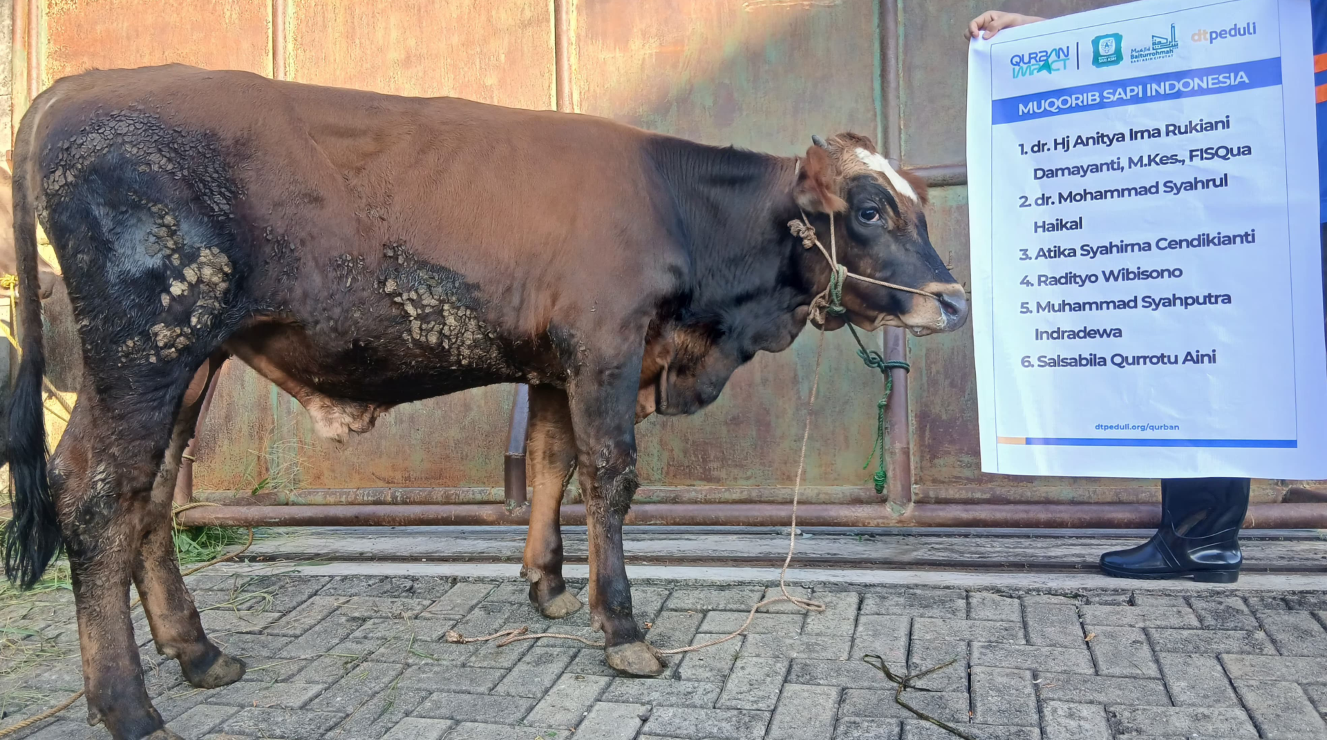 DT Peduli Tangerang Selatan Bersama RS. Sari Asih Ciputat Sukseskan Qurban Impact 2026