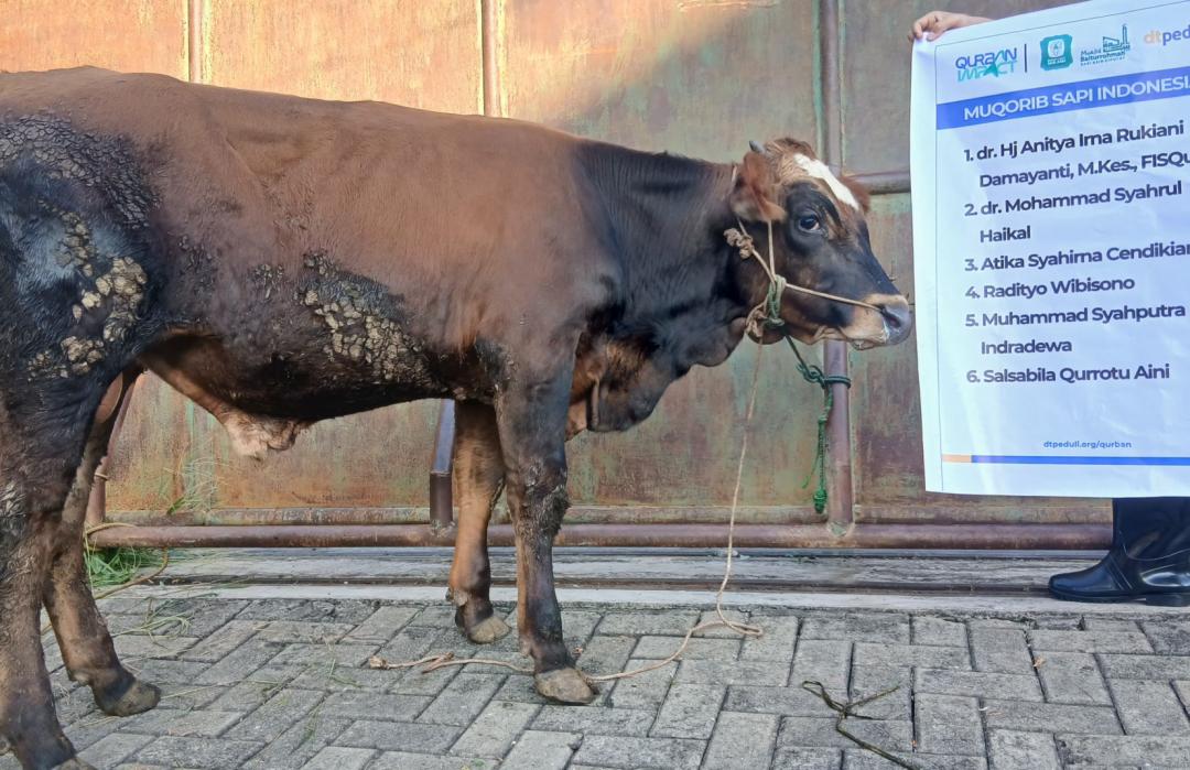 DT Peduli Tangerang Selatan Bersama RS. Sari Asih Ciputat Sukseskan Qurban Impact 2026
