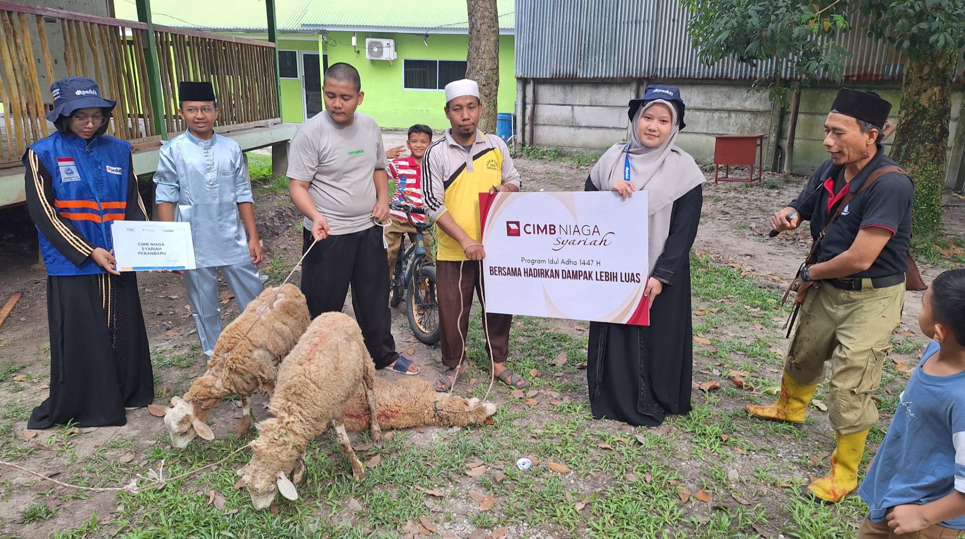 CIMB Niaga Syariah Pekanbaru Salurkan Qurban Domba Melalui DT Peduli Riau