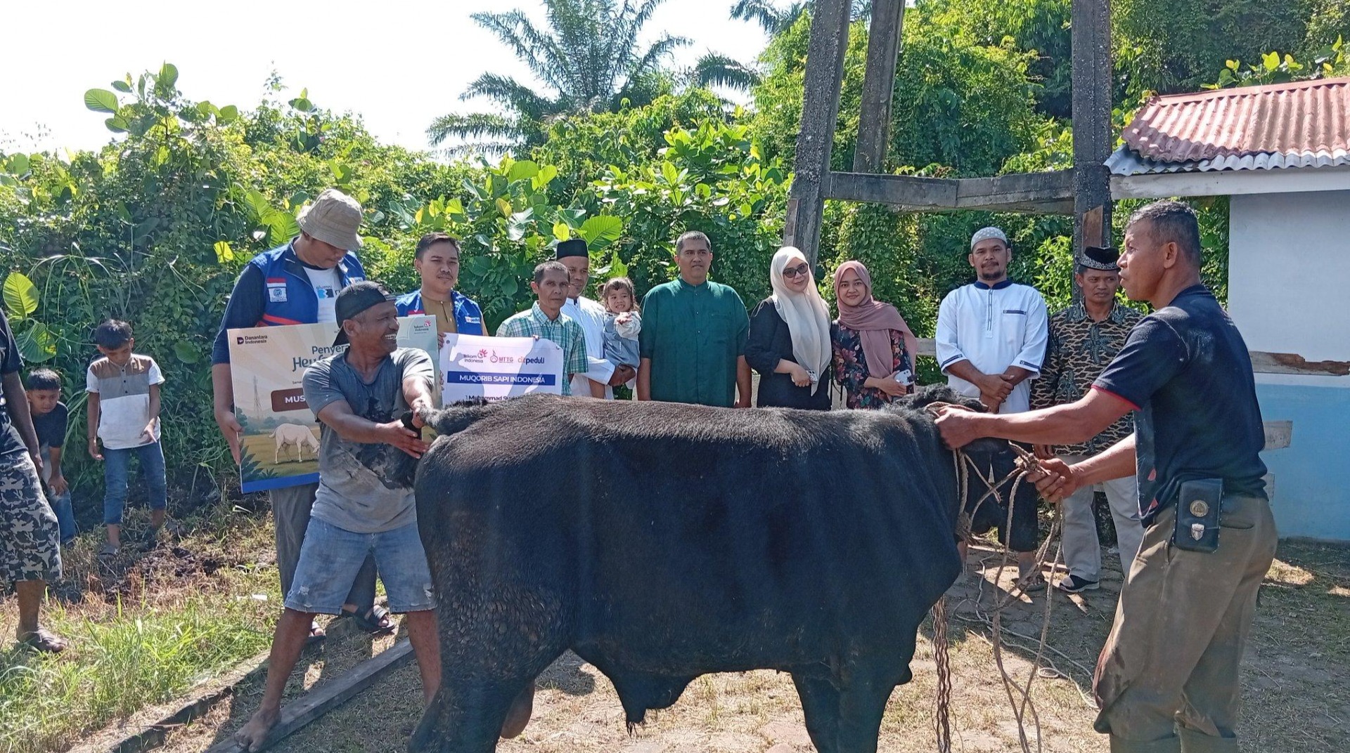 DT Peduli Riau Sukses Gelar Qurban 1447 H Bersama Mitra Kolaborator di Berbagai Wilayah Provinsi Riau 