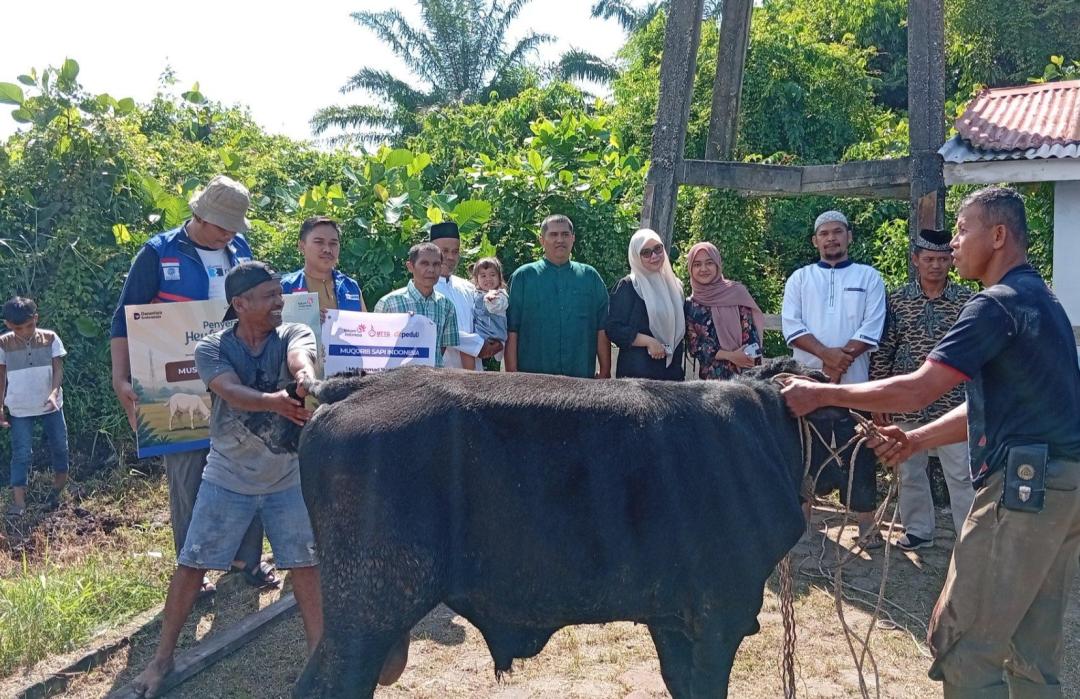 DT Peduli Riau Sukses Gelar Qurban 1447 H Bersama Mitra Kolaborator di Berbagai Wilayah Provinsi Riau 