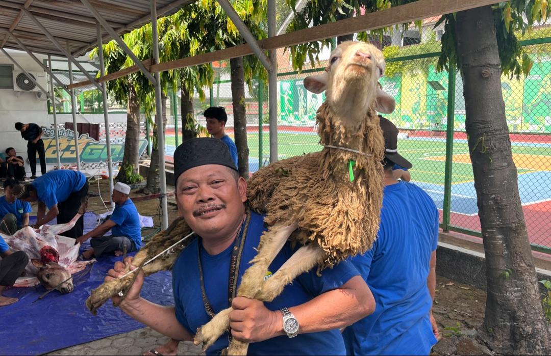 Pegadaian Kanwil I Medan Kembali Sinergi dengan DT Peduli Sumut Salurkan Qurban untuk Ratusan Penerima Manfaat 