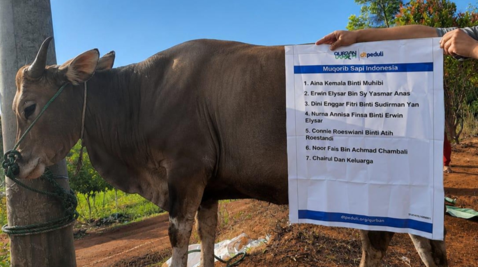 Sukses Gelar Qurban Impact, DT Peduli Lubuklinggau Salurkan 500 Paket Daging untuk Warga Lubuklinggau dan Musi Rawas 