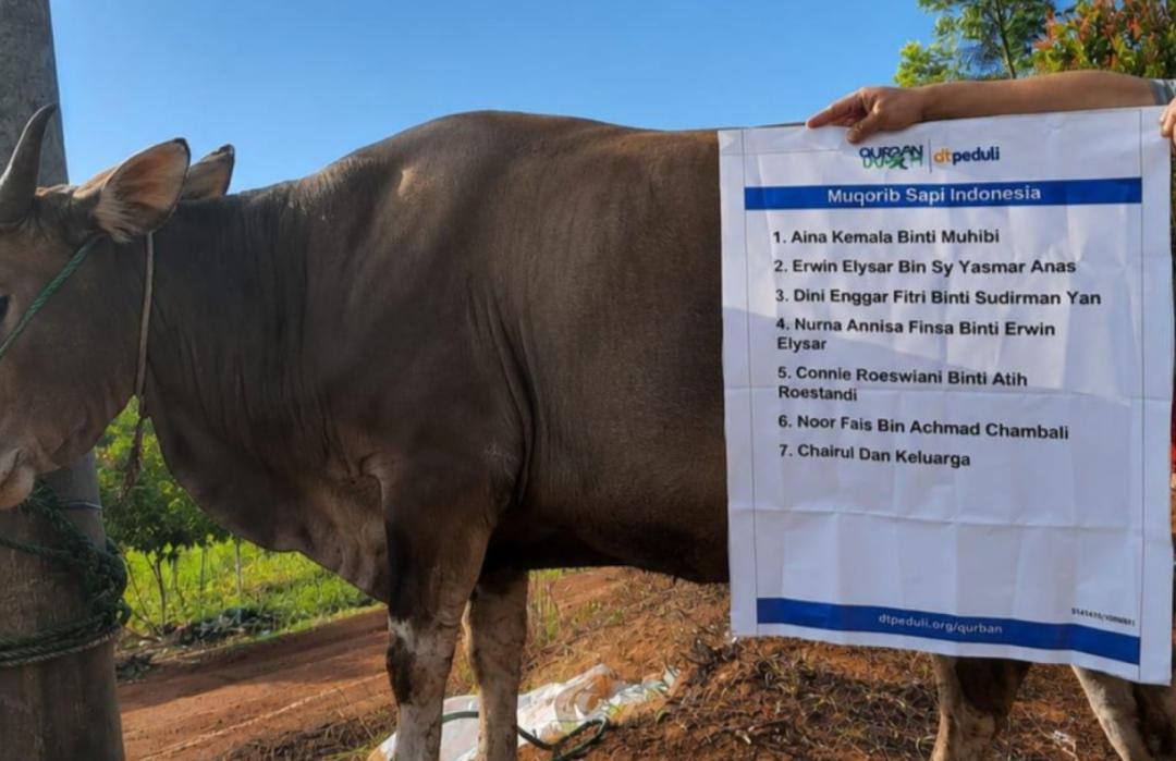 Sukses Gelar Qurban Impact, DT Peduli Lubuklinggau Salurkan 500 Paket Daging untuk Warga Lubuklinggau dan Musi Rawas 