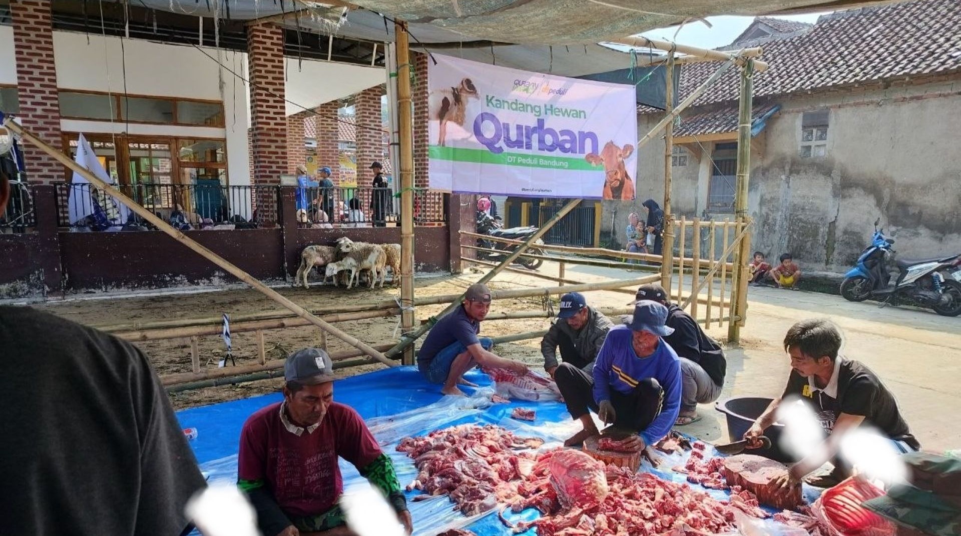 Perkuat Syiar dan Pembinaan Keislaman Masyarakat, Qurban Impact DTP Bandung Hadir di Arjasari 