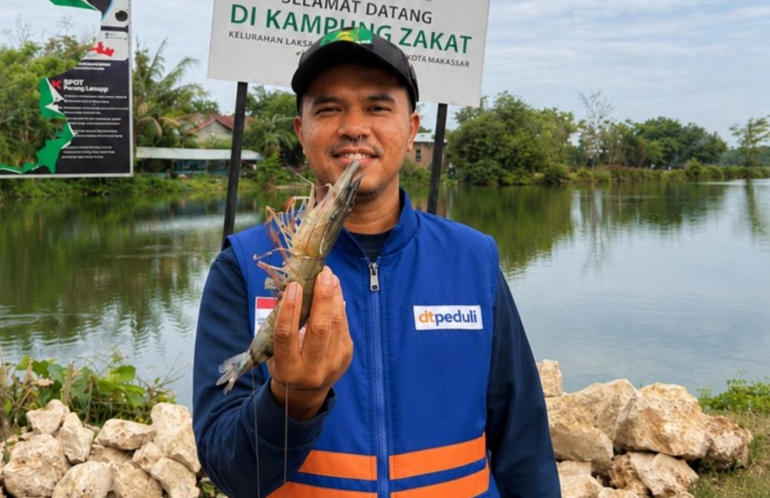 Petambak Binaan DT Peduli Sulsel dan Pelindo Sukses Panen Udang Windu 