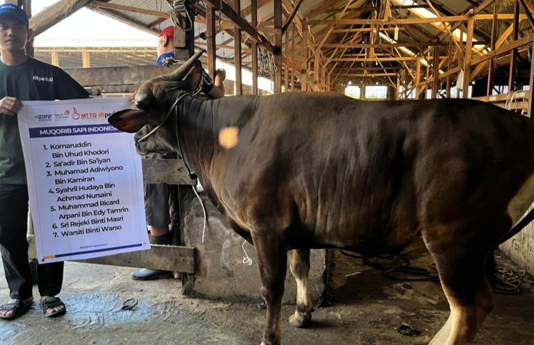 MTTG Witel Sumbagsel Bersama DT Peduli Sumsel Salurkan Qurban untuk Karyawan dan Masyarakat Pelosok