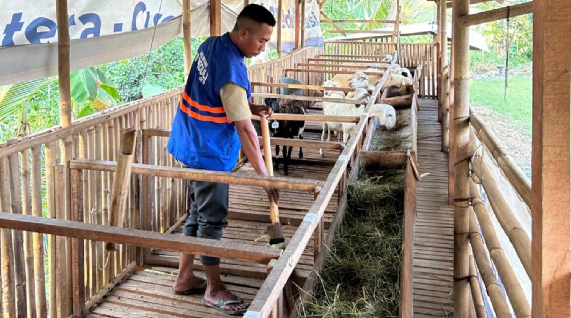 Dukung Kemandirian Ekonomi, DT Peduli Bekasi Lakukan Monitoring Perkembangan Peternak Binaan di Kampung Cabang Dua 