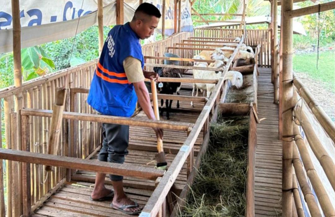 Dukung Kemandirian Ekonomi, DT Peduli Bekasi Lakukan Monitoring Perkembangan Peternak Binaan di Kampung Cabang Dua 