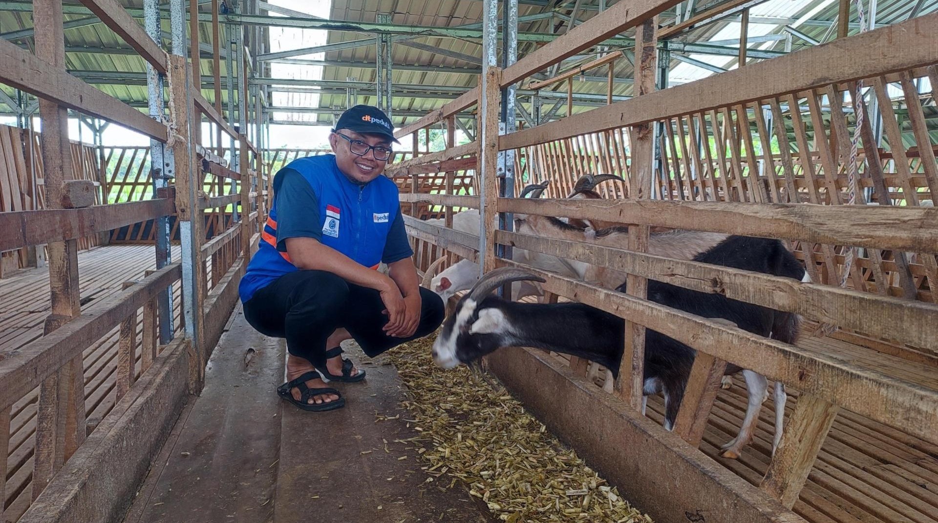 Tlogoadi Farm Berikan Bantuan Tujuh Ekor Kambing Melalui DT Peduli Yogyakarta