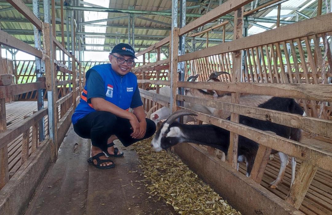Tlogoadi Farm Berikan Bantuan Tujuh Ekor Kambing Melalui DT Peduli Yogyakarta