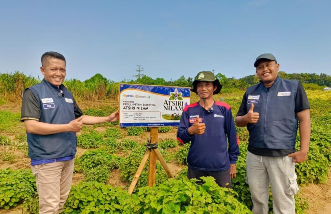 DT Peduli Yogyakarta Lakukan Kunjungan Program Peduli Petani Sejahtera Atsiri Nilam 