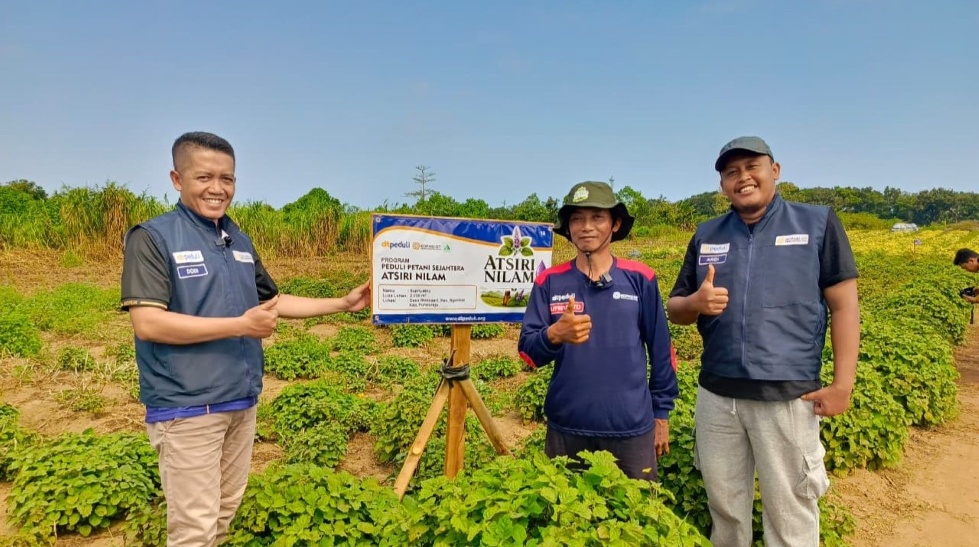 DT Peduli Yogyakarta Lakukan Kunjungan Program Peduli Petani Sejahtera Atsiri Nilam 