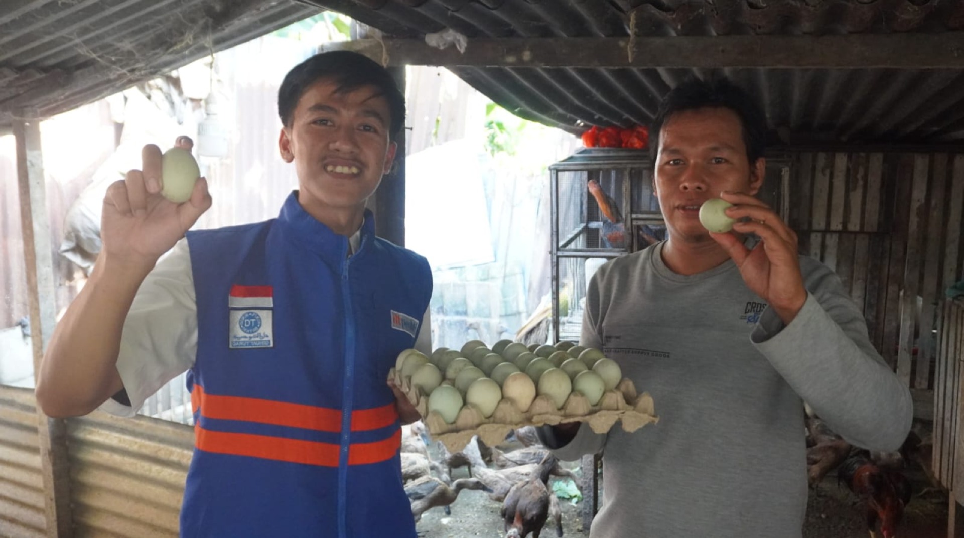 Sempat Terdampak Cuaca Buruk, Program Pemberdayaan Ekonomi Bebek Petelur Binaan DT Peduli Sulsel Kini Panen Setiap Hari 