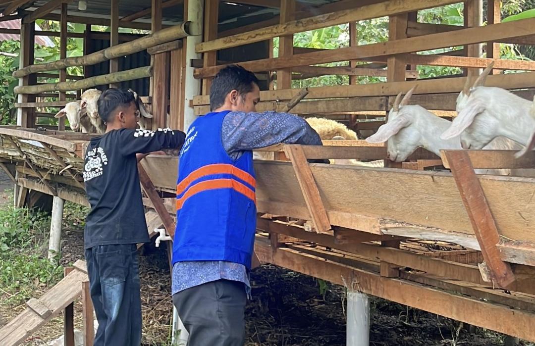 Santri RPY DT Peduli Medan Belajar Mandiri Melalui Pemberdayaan Peternakan dan Berkebun 