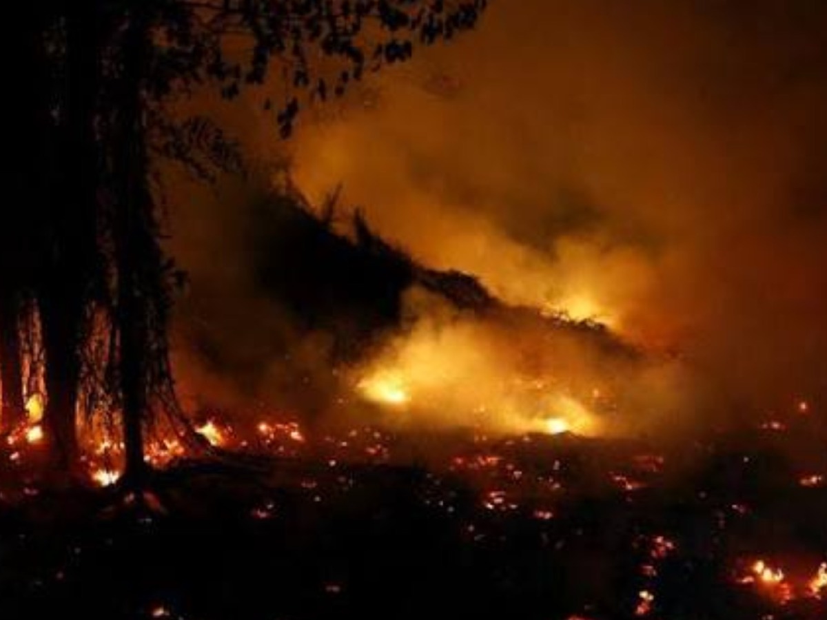 Peduli Terdampak Kebakaran Hutan dan Lahan