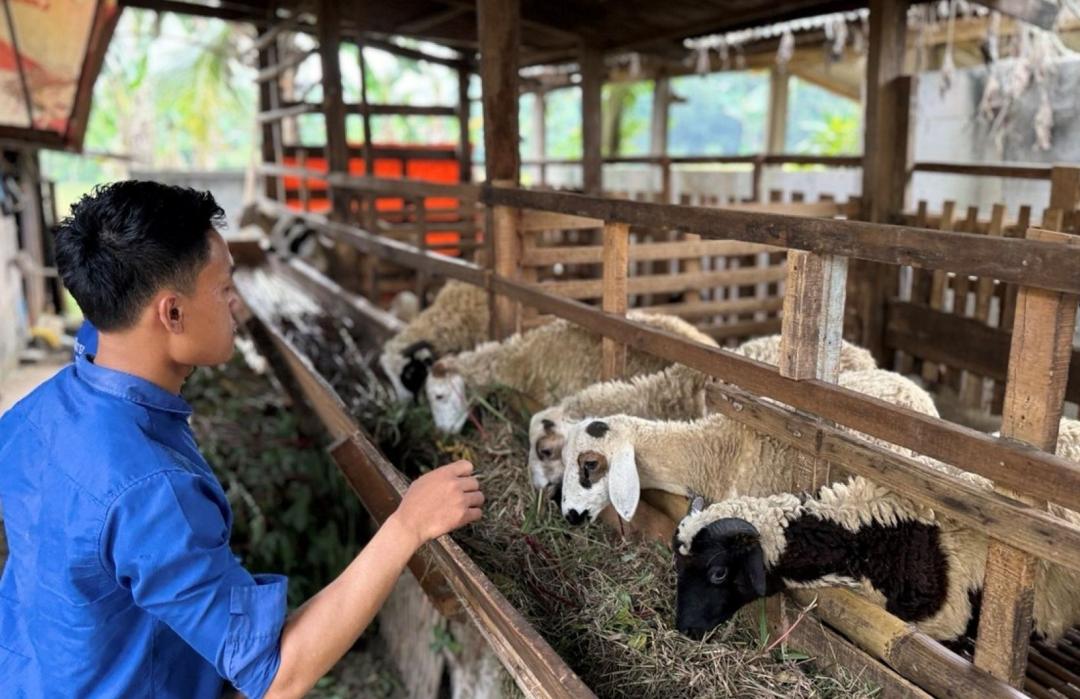 Perjuangan Aldi Menjaga Mimpi dan Wasiat Sang Ayah