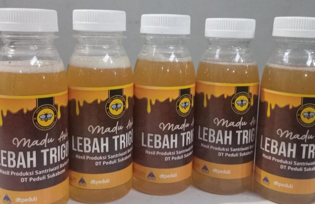Santri Rumah Tahfidz Qur'an DT Peduli Sukabumi Panen Madu Trigona