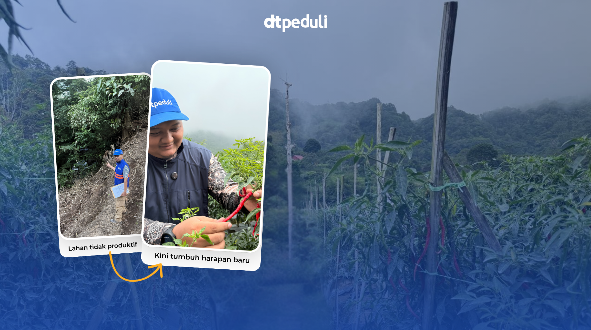 Dari Lahan yang Terabaikan, Tumbuhkan Harapan Warga Sumatera Barat