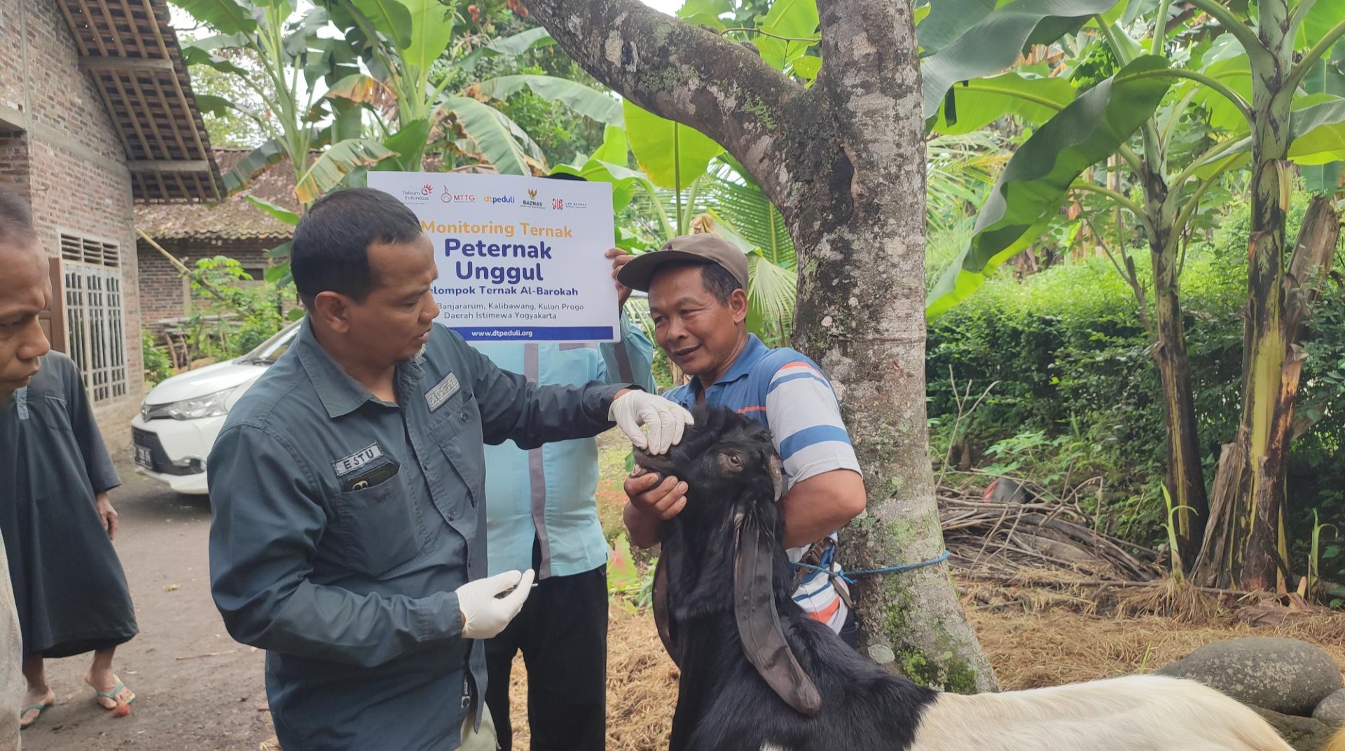 DT Peduli Yogyakarta Amanahkan Indukan Ternak ke Peternak Kampung Akhlak